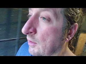 kennel upgrades spring and summer 2025