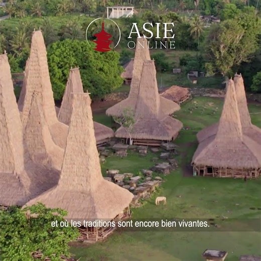 Votre voyage en Indonésie avec Asie Online