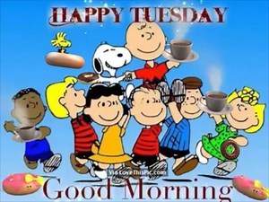 13K views · 405 reactions | Happy Tuesday | Gifs, Vids & Music Etc | Facebook