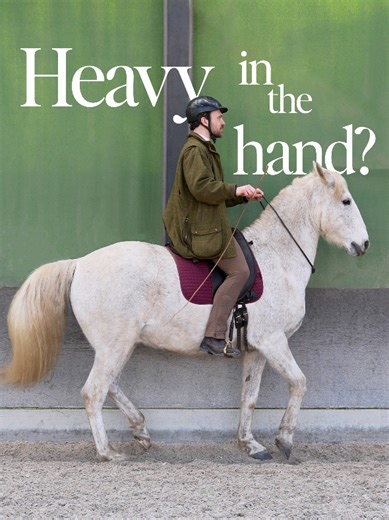 Understanding Your Horse's Head Position: Beyond Poll Flexion