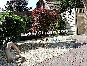 Welche Pflanzen Am Pool? 🌿 Alles Über Gartenarbeit Und Gartengestaltung - 2025