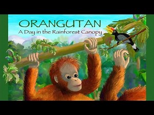 Children's Read Along Books: “Orangutan A Day In The Rainforest Canopy” by Rita Goldner