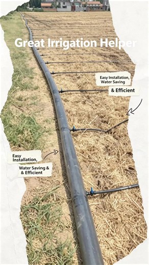 Precise Drip Irrigation Tape for Farming | Save Water & Labor