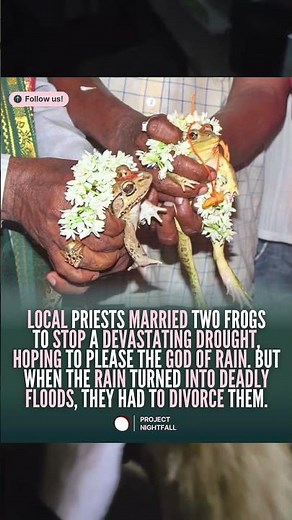 Local priests married two frogs to stop a devastating drought