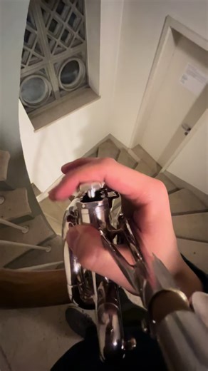 Luffy trumpet 🎺🏴‍☠️ #onepiece #ワンピース | one piece eyecatchers