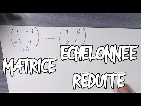 Echelonner réduire une matrice de taille 2*2 - Maths