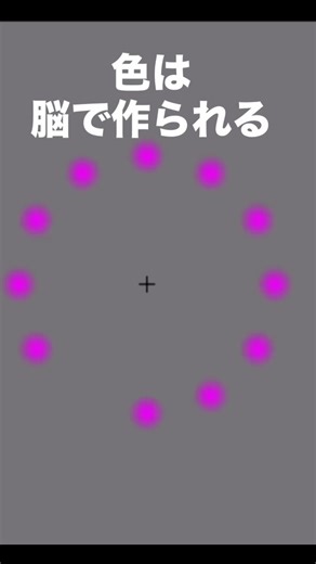 📌②子育て脳科学『違う色見えない❓』 #子どもの発達 #子育て #脳科学 #色彩心理
