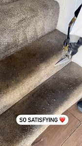 🌟 Discover the Difference with Alpha Cleaning Services 🌟🚚 Our Truckmount Cleaning System vs. Basic Machines 🧹Tired of waiting forever for your carpets to dry? Experience the 𝗦𝘂𝗽𝗲𝗿𝗶𝗼𝗿 difference with us!👉 𝗩𝗮𝘀𝘁𝗹𝘆 𝗙𝗮𝘀𝘁𝗲𝗿 𝗗𝗿𝘆𝗶𝗻𝗴: Our advanced Truckmount system means quicker results. Say goodbye to soggy carpets!👉 𝗨𝗻𝗿𝗶𝘃𝗮𝗹𝗲𝗱 𝗖𝗹𝗲𝗮𝗻𝗶𝗻𝗴: Our top-notch equipment guarantees a deeper, more thorough clean compared to basic machines.Choose 𝗾𝘂𝗮𝗹𝗶𝘁𝘆 and 𝗲