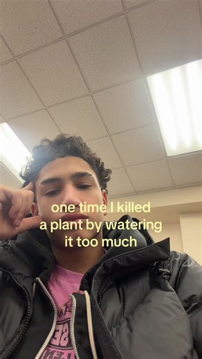 How Overwatering Affects Plant Health