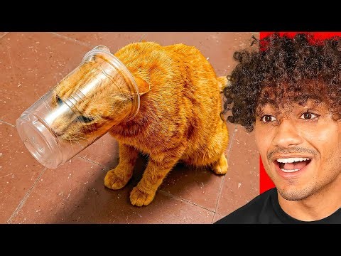 The World's Dumbest Animals!