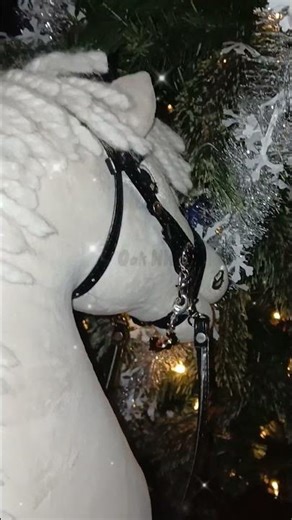 caspers first Christmas with me 😢😪🐴 #hobbyhorse