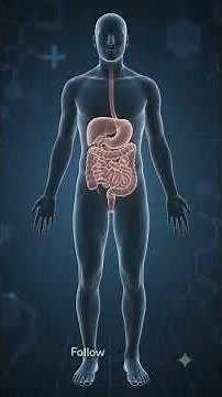 What Happens to Your Body When You Eat Chia Seeds Every Day? | Amazing Health Benefits