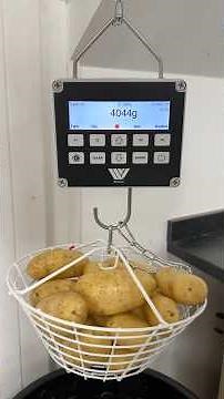 Potato Dry Matter Testing | Why it Matters