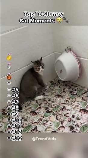 Top 10 Clumsy Cat Moments #cat #funny #pets #cute