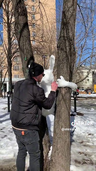 Winter Wonderland: Snow Bunny Adventures