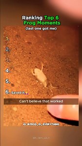 Ranking Top 6 Frog Moments That Made You LOL!