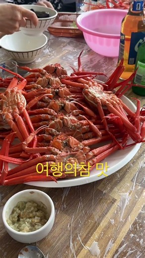여행은 마음이 즐겁게 돌보기. #빛으로그리는세상 #아름다운풍경 #사진찍는일상