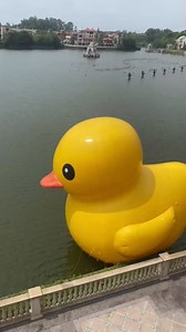 Amazon.com: 10ft Outdoor Giant Inflatable Promotion Yellow Rubber Duck Floats Pool Lake : Toys & Games
