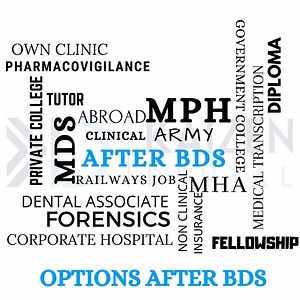 What After BDS - Kaizen Dental - 19 Options To Decide