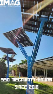 The FPL Solar Trees at IMAG may look unassuming, but they've created...