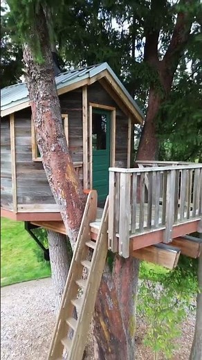 Building a Dream Backyard Treehouse Step by Step #shorts