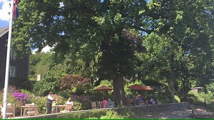 4.5K views · 208 reactions | Where better.......... | Lakeside Hotel | Facebook