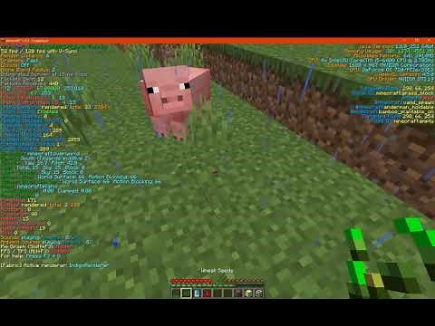 Better F3 1.16.1 & 1.16.2 Fabric Mod Overview