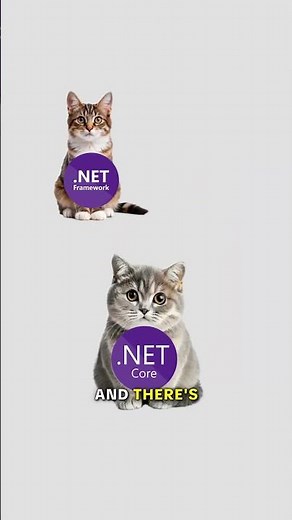 .NET vs .NET Framework, explained by cats. #cat #code #net #microsoft #csharp