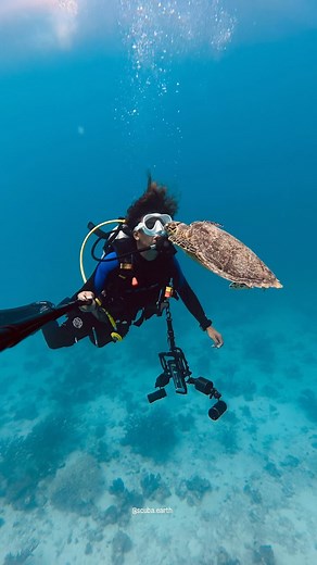 62K views · 76 reactions | Up close and personal with this beautiful...