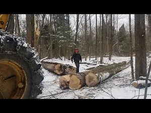 Johnson Logging: Winter 2020