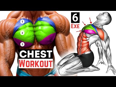 Chest Workout | Best Upper, Middle & Lower Chest Exercises