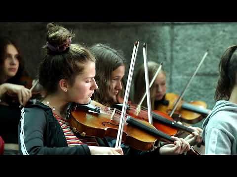 Wolfgang Amadeus Mozart: Kleine Nachtmusik - Flashmob des Orchestra442