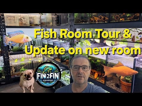 Fish Room Update, is my new Fish Room ever getting approved ? 🐠