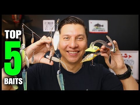 Spotted Bay Bass Fishing Lures | San Diego Fishing