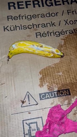 Good night | Dora Dora