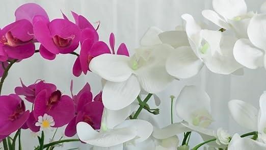 0c5c5236d1a1468fafdc8174947c90fc