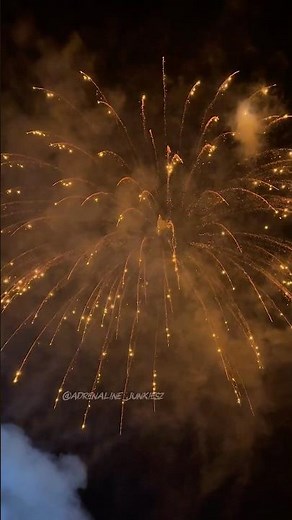 Raccoon fireworks 6” inch 150mm display shell Glittering Willow ✨🔥#pyro #vuurwerk