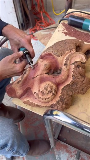 The octopus is slowly beginning to emerge from this manzanita burl wood. #sculpture #woodworking #woodcarving #woodwork #octopus