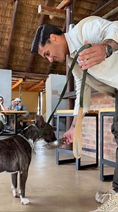 195K views · 3.5K reactions | A proprietária da reserva me trouxe um...