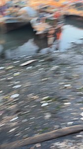 1K views · 35 shares | Fishing #fish fishing #viral | saad ka pakistan | Facebook