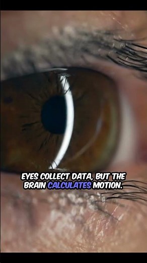 ⚡ How Does Our Brain Predict the Future