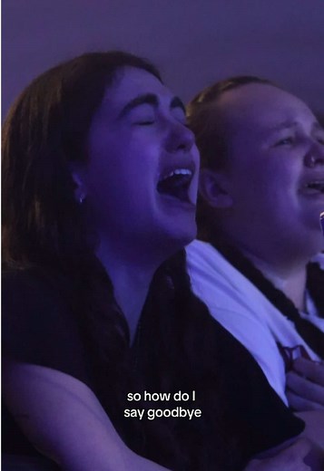 How Do I Say Goodbye: Emotions from Dean Lewis Tour