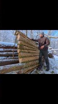 "Building a Survival Shelter in the Forest | Rainstorm Challenge 🌧️🔥"