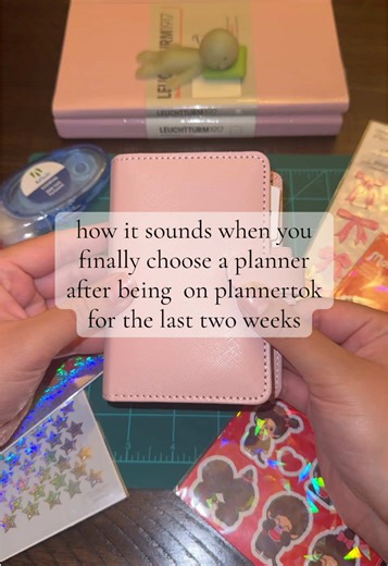 Choosing the Perfect Planner After PlannerTok