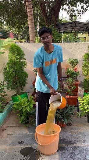 pradeep on Instagram: "Jeevamrutham (also called Jeevambutram or Jeevamrut) is a powerful organic liquid fertilizer that improves soil fertility, promotes microbial activity, and helps plants grow healthy without chemicals. 🌱 Here’s the step-by-step method to prepare it at home: 🌿 Ingredients : Cow dung – 1 kg Cow urine – 1 liter Jaggery – 200 g (about 1 cup, crushed) Gram flour (Besan) or pulse flour – 200 g (about 1 cup) Handful of fertile soil – from garden/under a healthy tree Water – 20 l