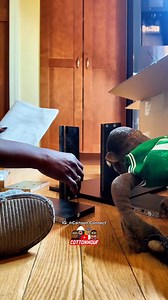 How lil kids be when you tryna put something together.. | Cartoon Connect