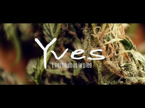 Yves - L'herbe sous le pied - 2021 - (Clip Officiel) Reggae Français