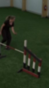 At OneMind Dogs we are all about helping you to understand the dog's perspective and have an amazing connection with your dog! 🌟🐕 Join our agility premium free trial now to feel it for yourself: https://hubs.li/Q02lTBgV0 #oneminddogs #dogagility | OneMind Dogs