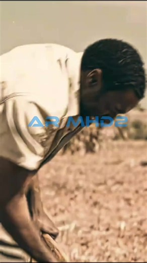 Exploring the Full Fallow Method in Agriculture