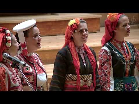 Dragostin Folk National - A White Falcon/ Бяла Сокола | ブルガリア音楽 | 保加利亚音乐 |